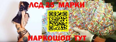 шишки Жуковский