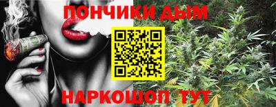 шишки Жуковский