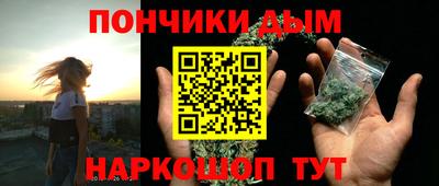 шишки Жуковский