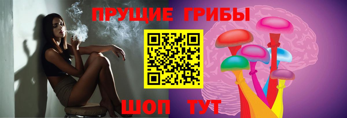 где купить наркоту  Вход с VPN  Мичуринск  Псилоцибиновые грибы прущие грибы  Псилоцибиновые грибы Magic Shrooms 